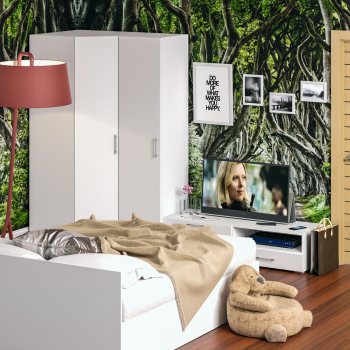 Спальня Стандарт 4-1600, белый/фасады ТВ тумбы МДФ белый глянец