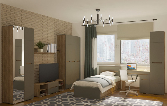 Шкаф с зеркалом Наоми ШК-22, графит