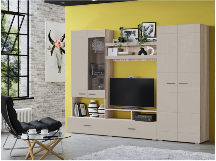 Гостиная Гамма-17 МДФ (Белый глянец, Венге)