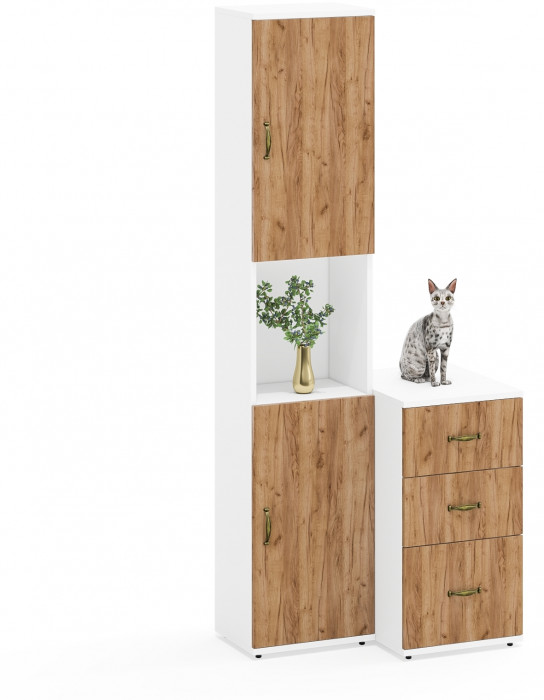 Лидер-8 Пенал + Тумба МД 3.16, белый шагрень/крафт золото